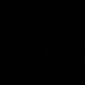 Meet your Posher, Francesca